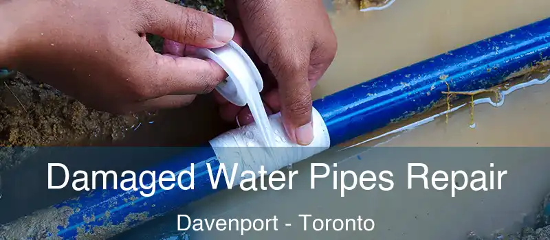  Damaged Water Pipes Repair Davenport - Toronto