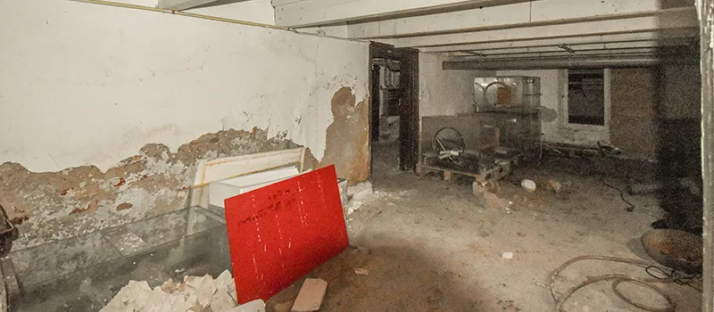 Home Basement Renovation in Davenport, Toronto