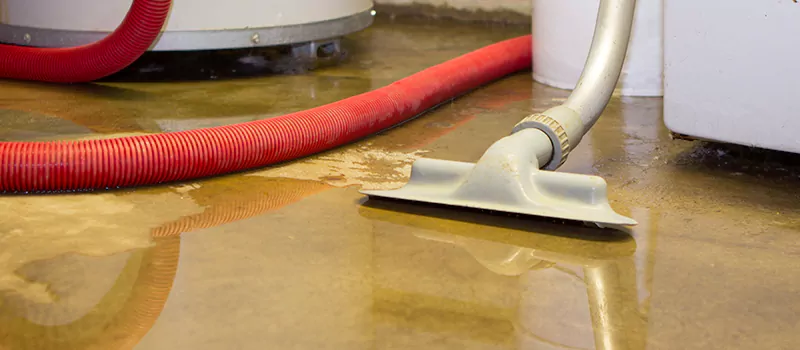 Professional Sewer Backup Cleanup Services in Davenport, Toronto