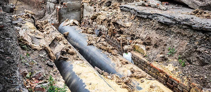 Commercial Sewer Tree Roots Damage Solutions in Davenport, Toronto