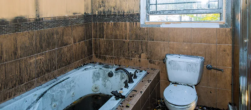 Residential Water Damage Restoration in Davenport, Toronto