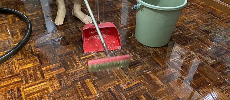 Water Removal And Restoration Services in Davenport, Toronto