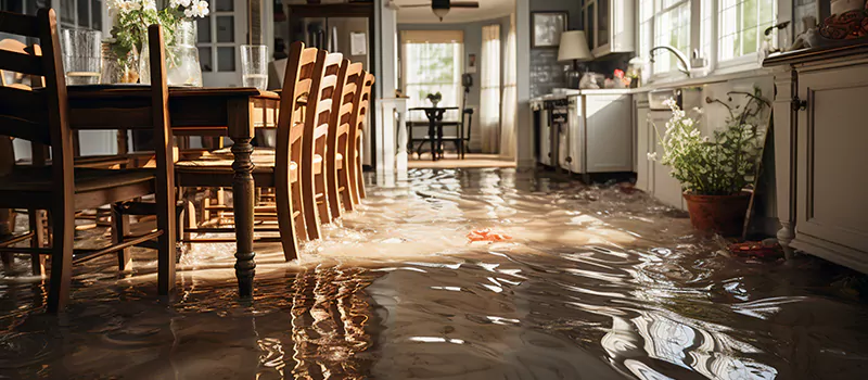 Flooded House Help Near Me in Davenport, Toronto