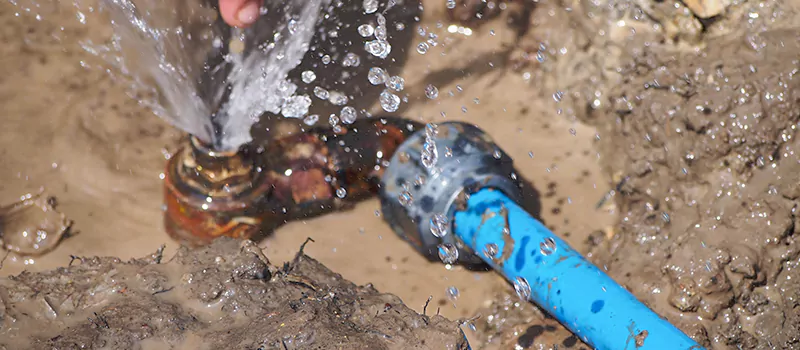 Reasons to Replace Your Lead Pipes in Davenport, Toronto
