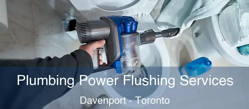  Plumbing Power Flushing Services Davenport - Toronto